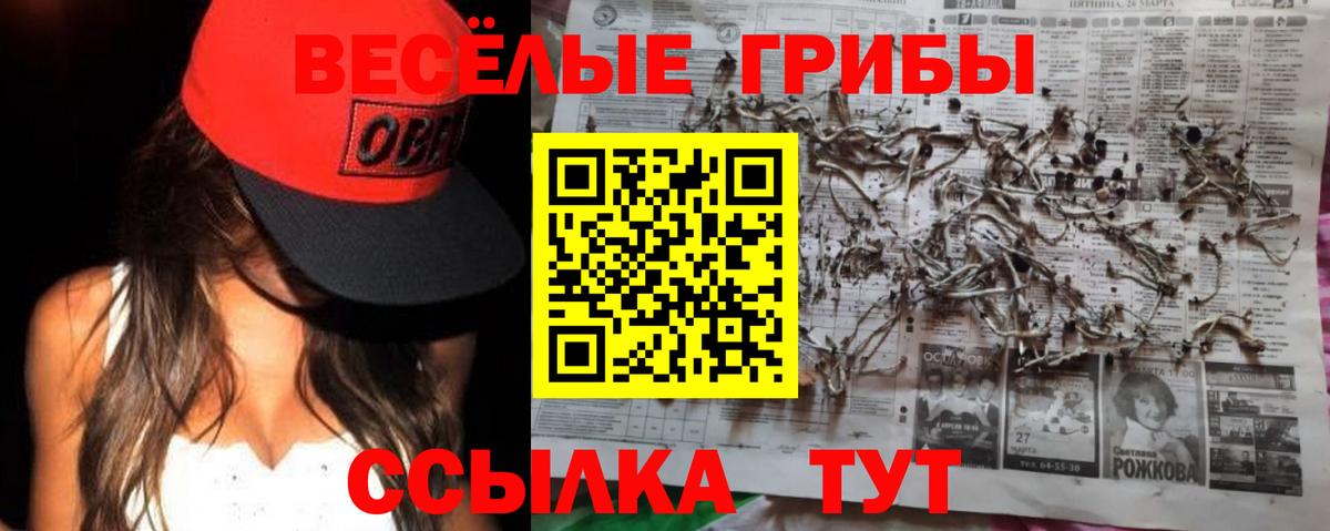 Галлюциногенные грибы Cubensis Медногорск