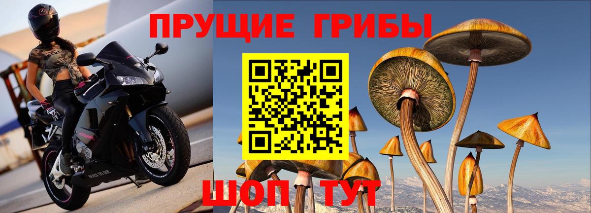 Псилоцибиновые грибы мухоморы  Вход с VPN  Галлюциногенные грибы мицелий  Медногорск 